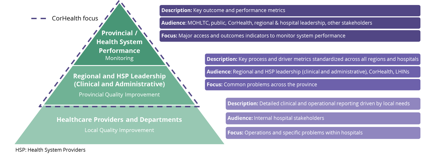 Illustration of CorHealth Ontario’s focus in reporting